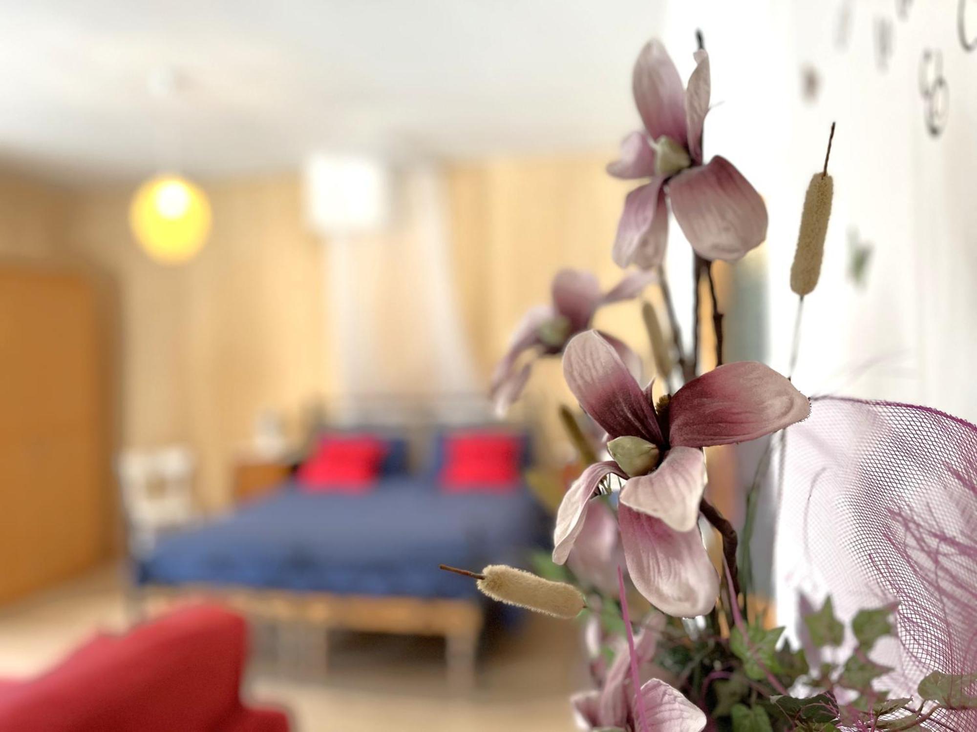 B&B Casa Taralin テーリオ エクステリア 写真
